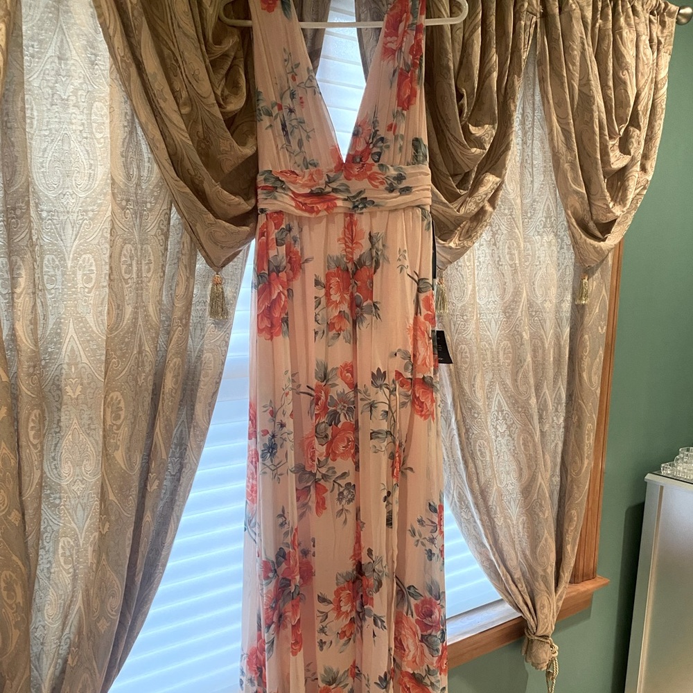 COPY - Lulu’s Garden Meandering blush floral print maxi dress; size 2; unworn w…